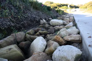 2025-06-21 Bartons Park - IMG_2540_compressed_q50.webp